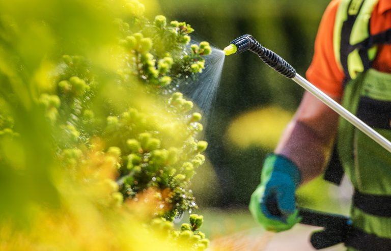 Gardener with Professional Insecticide Fertilizer Equipment. Worker Spraying Trees Close Up Photo.